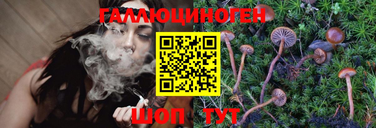 Псилоцибиновые грибы Magic Shrooms  Вход с VPN  Миллерово 